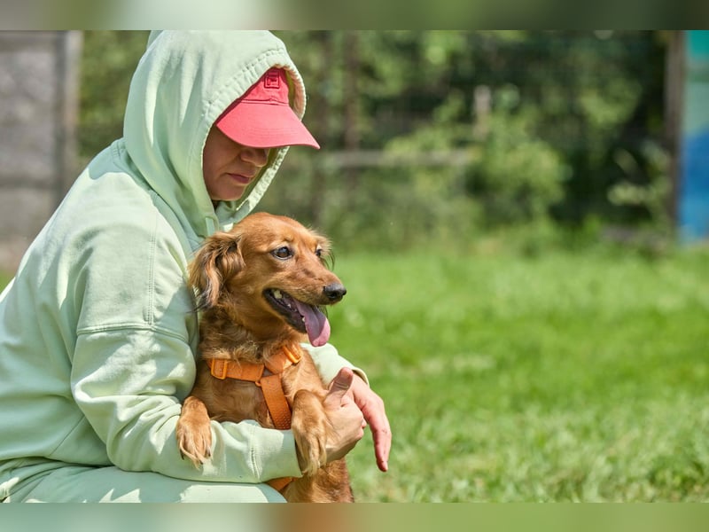 Verschmuste Inessa ❤️ sucht ein liebevolles Zuhause