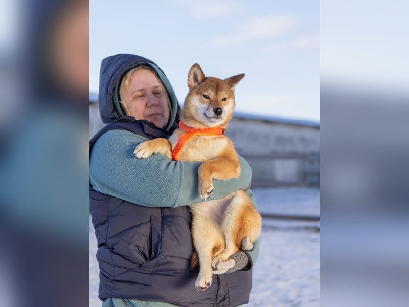 Suna ❤️ sucht ein ruhiges Zuhause mit Herz und Verständnis