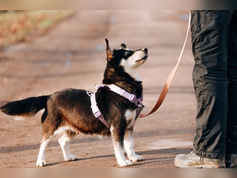 Traumhaft schöne Ketty ❤️ sucht ihre Herzensmenschen