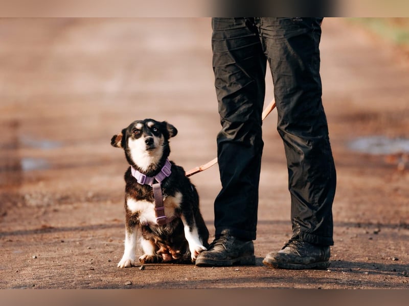 Traumhaft schöne Ketty ❤️ sucht ihre Herzensmenschen