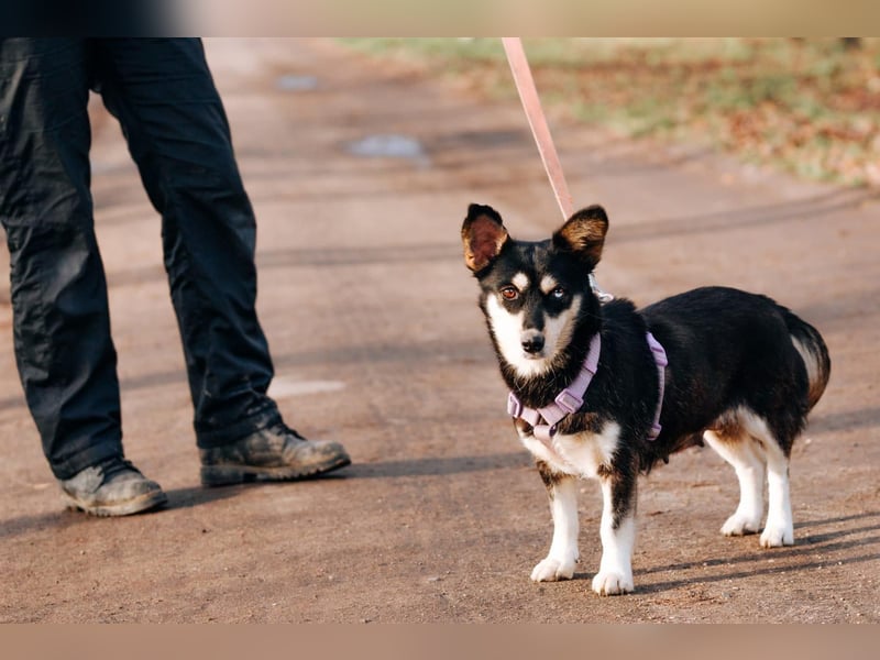 Traumhaft schöne Ketty ❤️ sucht ihre Herzensmenschen