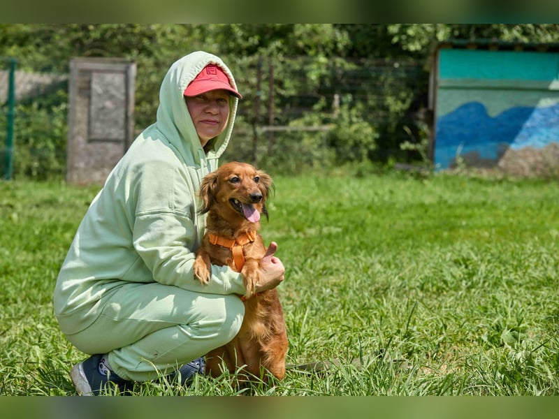 Verschmuste Inessa ❤️ sucht ein liebevolles Zuhause