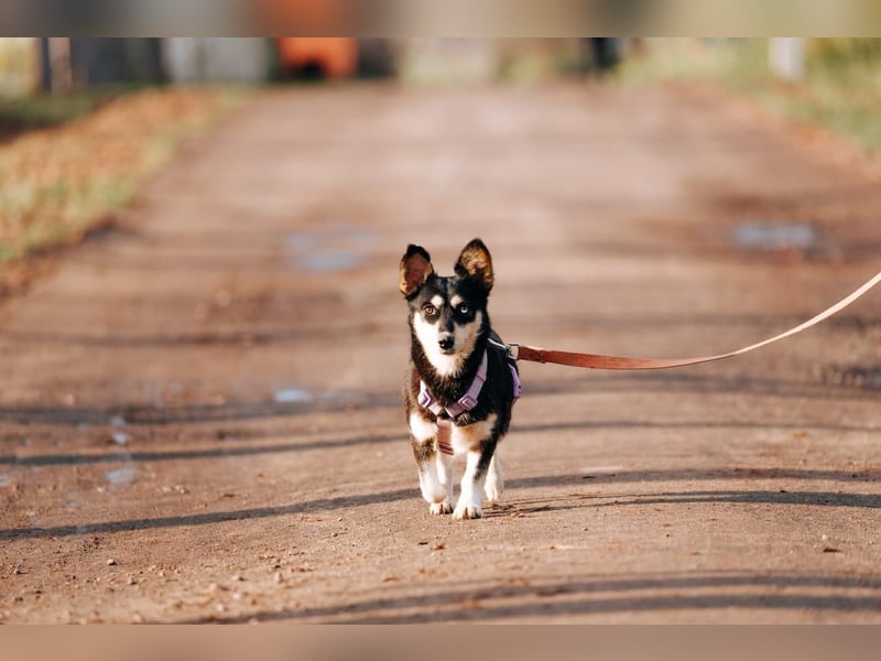 Traumhaft schöne Ketty ❤️ sucht ihre Herzensmenschen