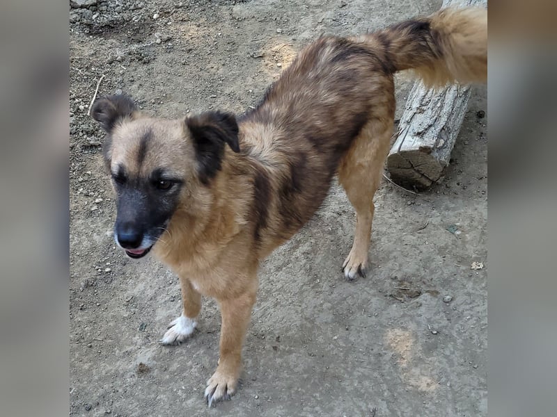 MINU sucht ihre Familie