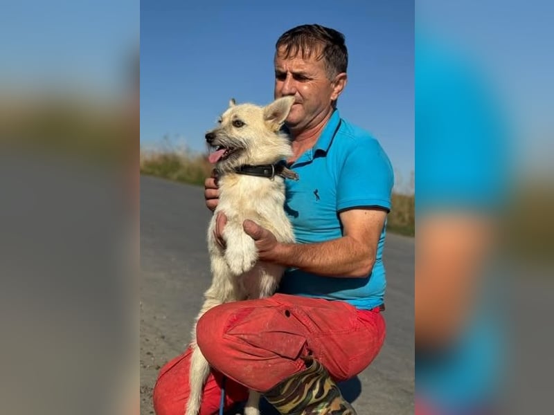 Fröhlicher Asterix - musste auf der Straße Hunger leiden