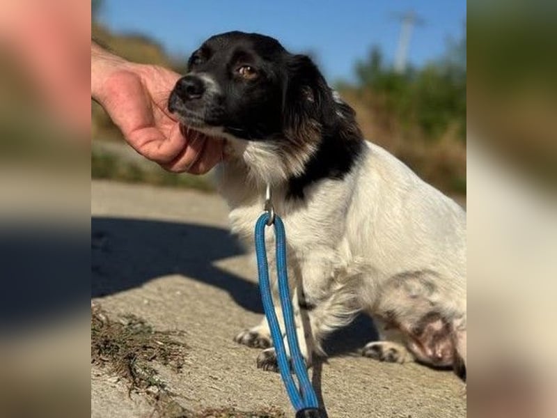 Schüchterne kleine Bibi - auf der Suche nach Geborgenheit