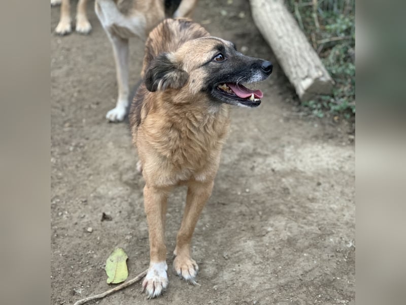 MINU sucht ihre Familie