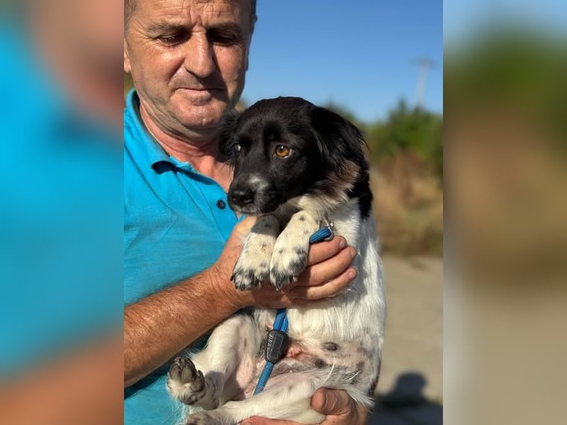 Schüchterne kleine Bibi - auf der Suche nach Geborgenheit