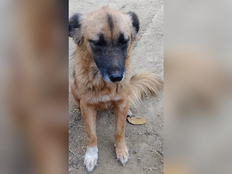 MINU sucht ihre Familie