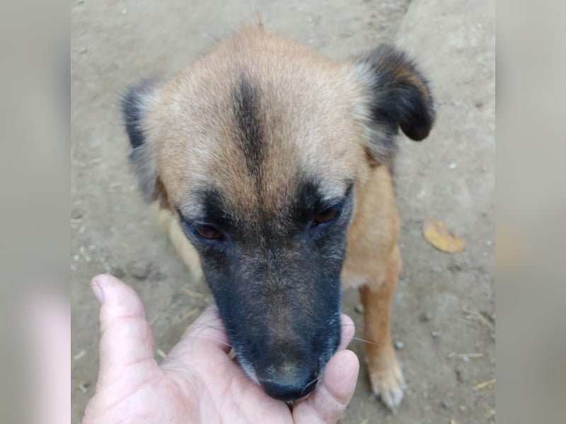 MINU sucht ihre Familie