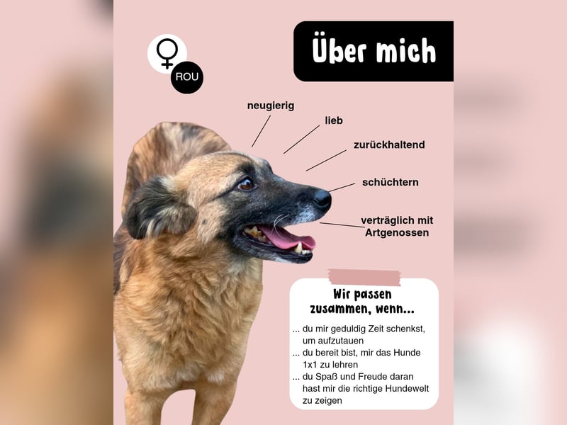 MINU sucht ihre Familie