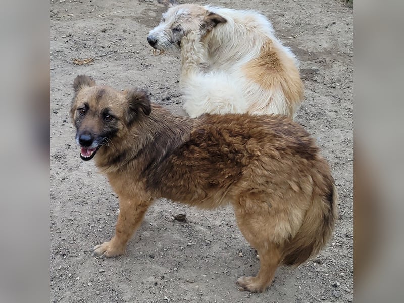 MINU sucht ihre Familie