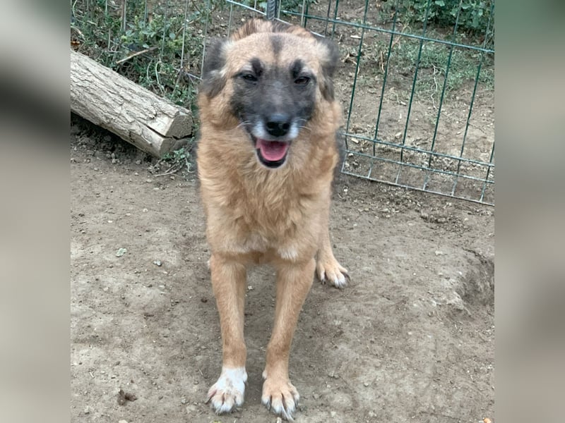 MINU sucht ihre Familie