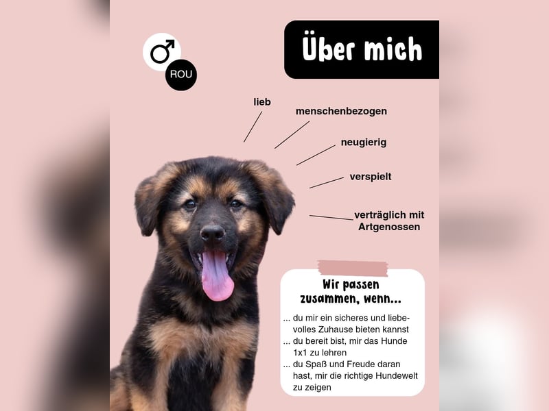 Kleiner Mogli