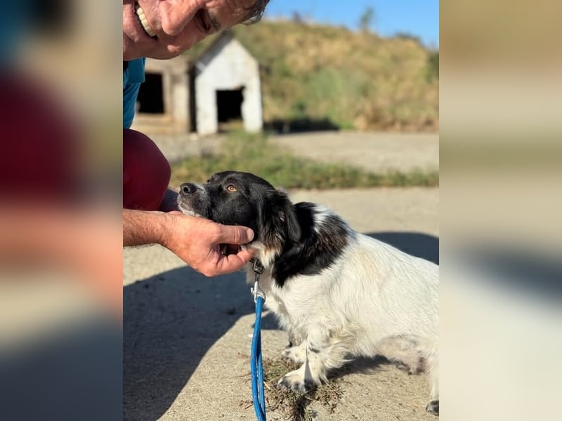 Schüchterne kleine Bibi - auf der Suche nach Geborgenheit