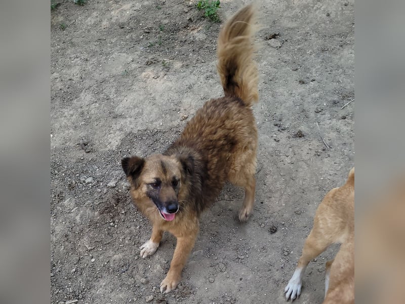 MINU sucht ihre Familie