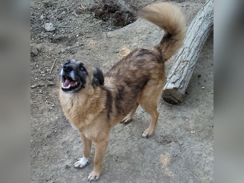 MINU sucht ihre Familie