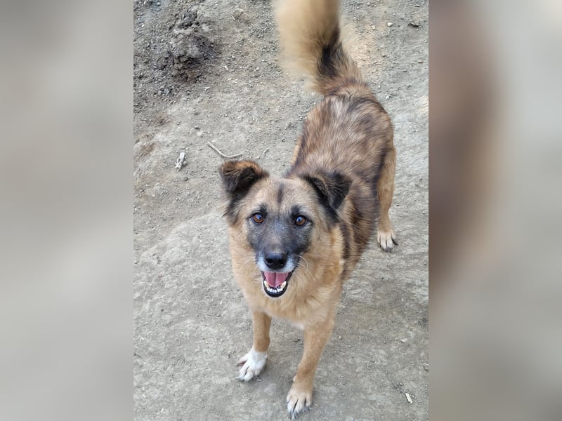 MINU sucht ihre Familie