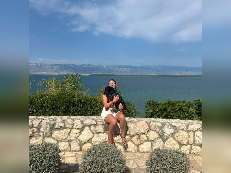 Sully sucht sein Forever Home ❤️