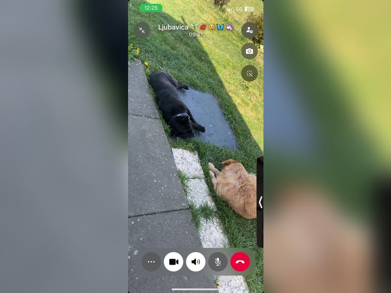 PENi sucht ihre ❤️-menschen