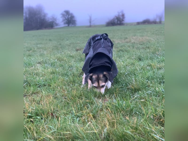 Menschenbezogene RONJA sucht perfect match ❤️