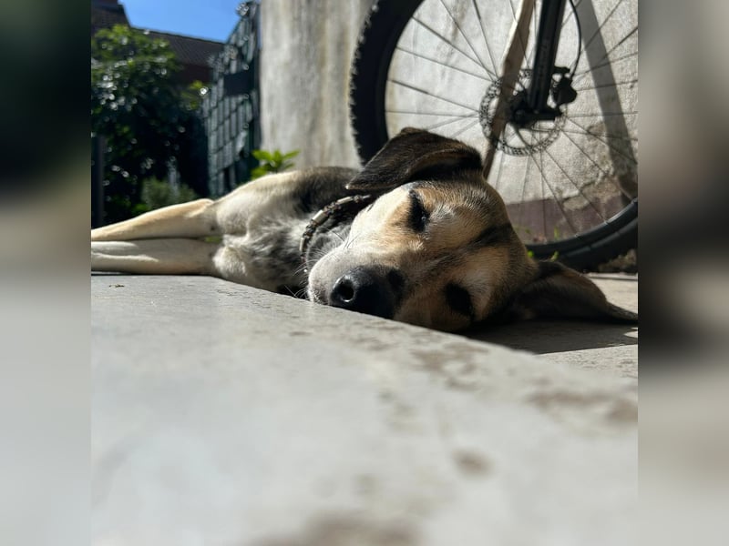 Menschenbezogene RONJA sucht perfect match ❤️