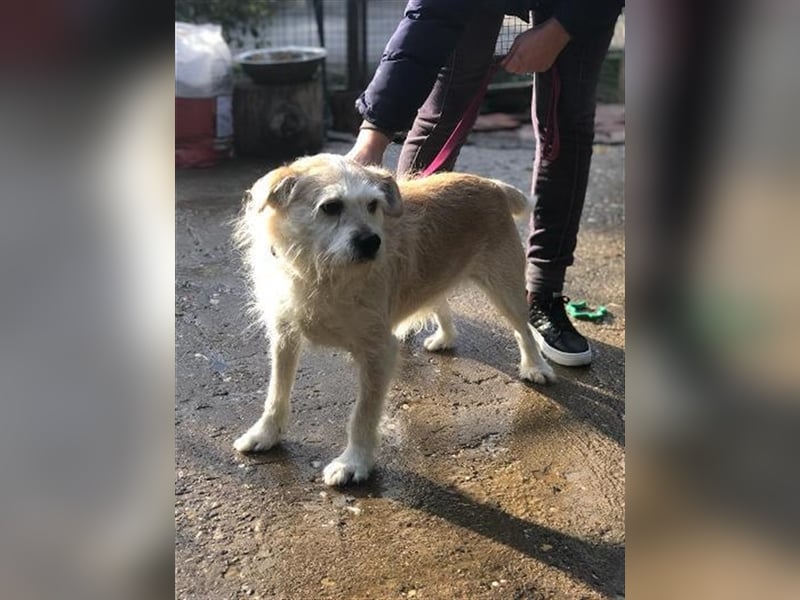 Miroslav unser Sonnenschein liebt die Menschen