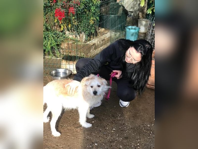 Miroslav unser Sonnenschein liebt die Menschen