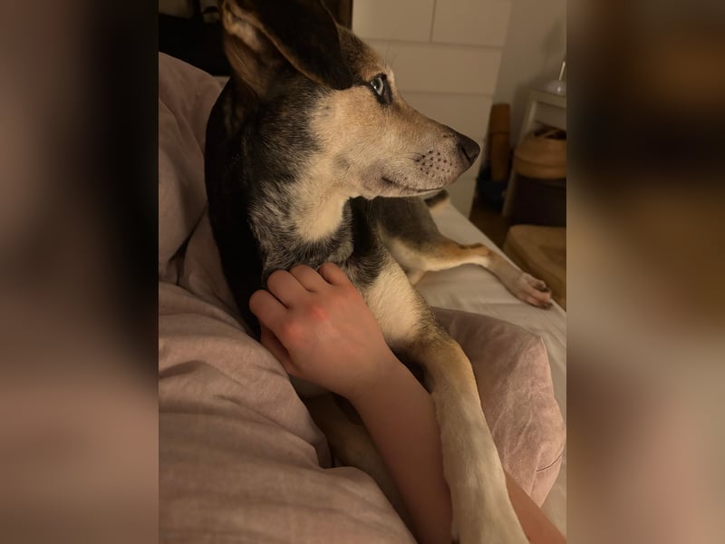 Menschenbezogene RONJA sucht perfect match ❤️