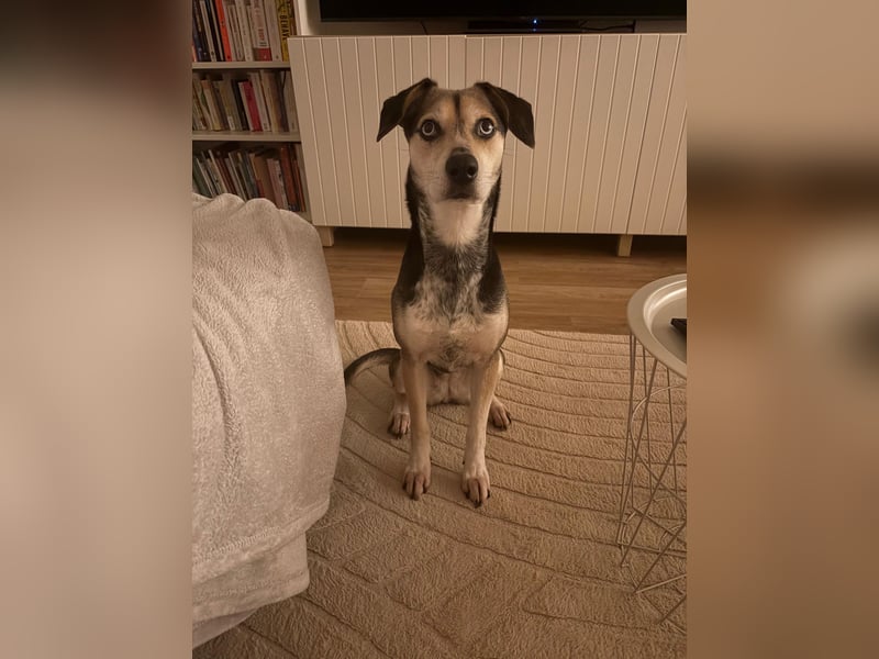 Menschenbezogene RONJA sucht perfect match ❤️