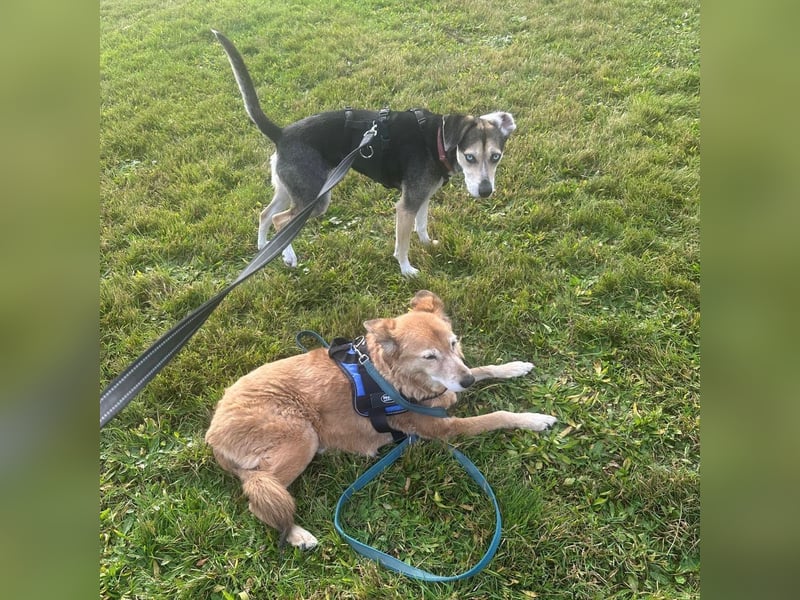 Menschenbezogene RONJA sucht perfect match ❤️