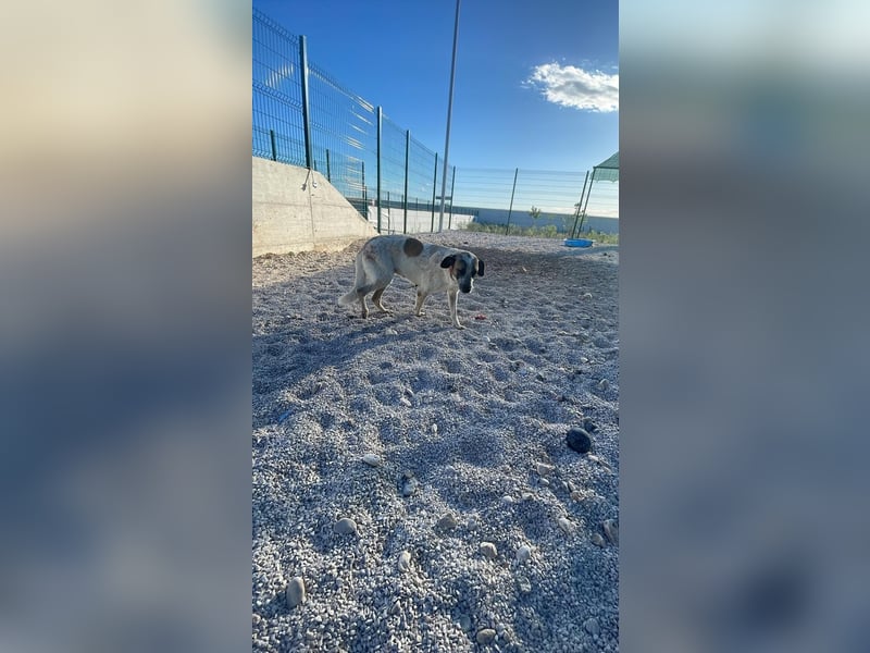 Zika sucht ihr Glück❤️