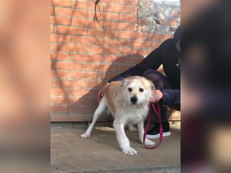 Miroslav unser Sonnenschein liebt die Menschen