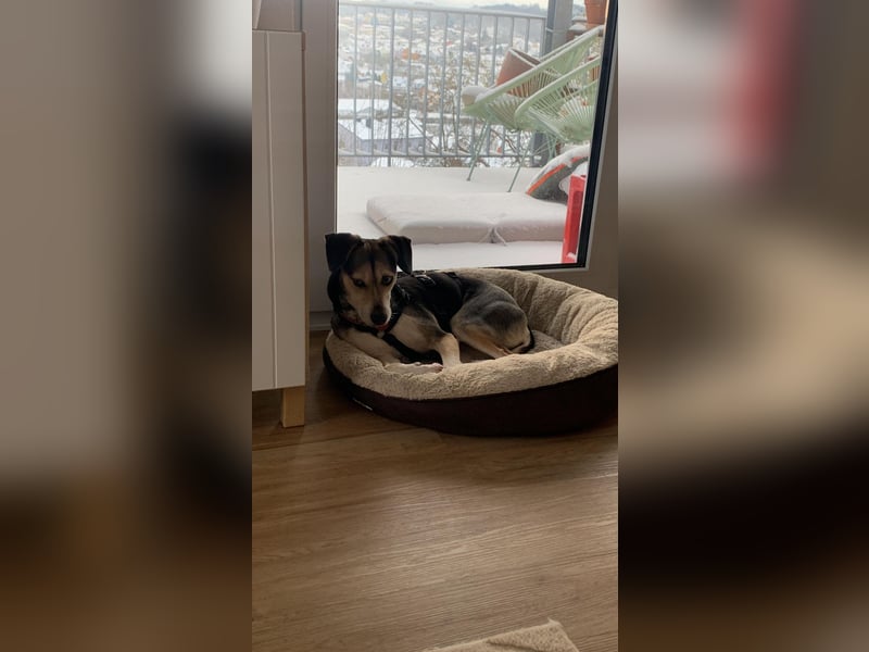 Menschenbezogene RONJA sucht perfect match ❤️