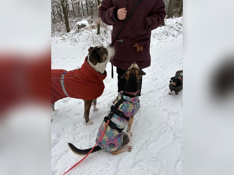 Menschenbezogene RONJA sucht perfect match ❤️