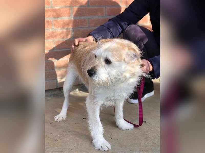 Miroslav unser Sonnenschein liebt die Menschen