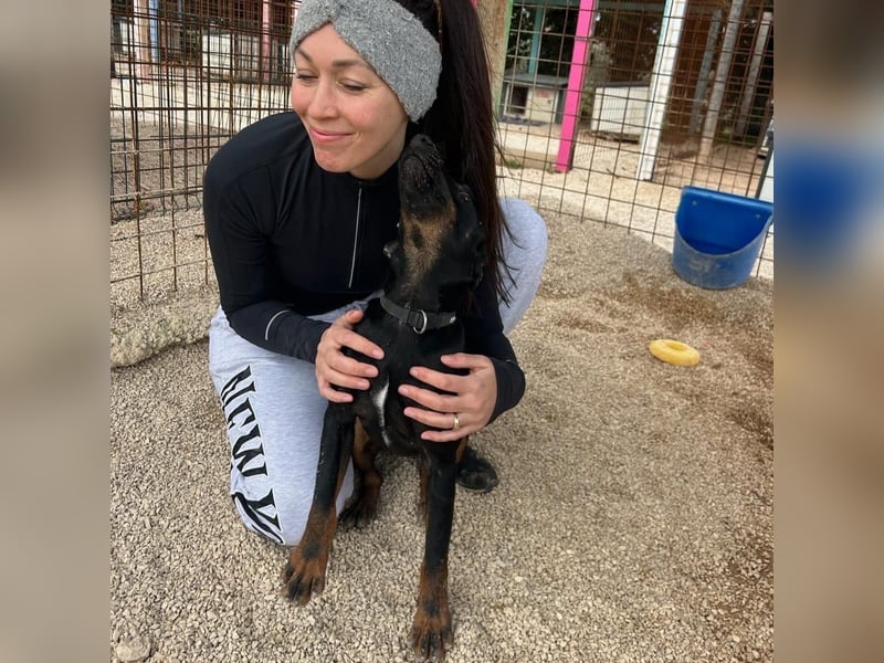 Sully sucht sein Forever Home ❤️