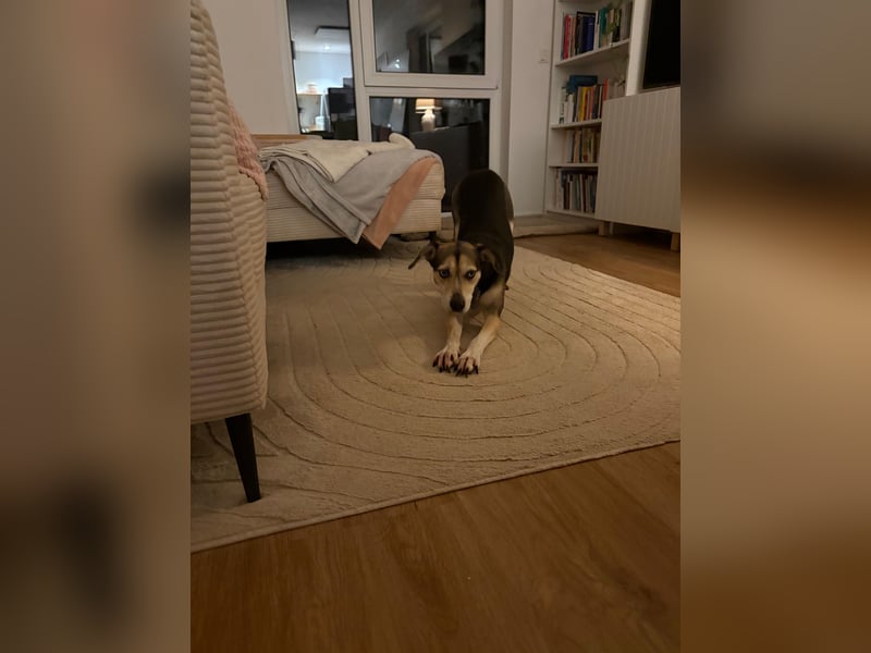 Menschenbezogene RONJA sucht perfect match ❤️