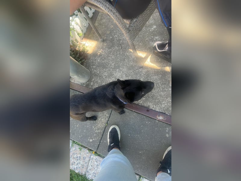 PENi sucht ihre ❤️-menschen