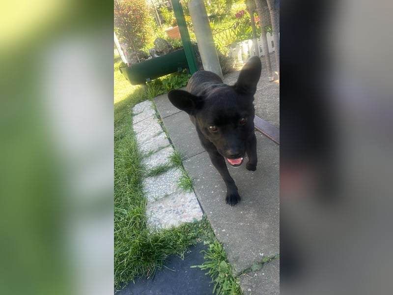 PENi sucht ihre ❤️-menschen