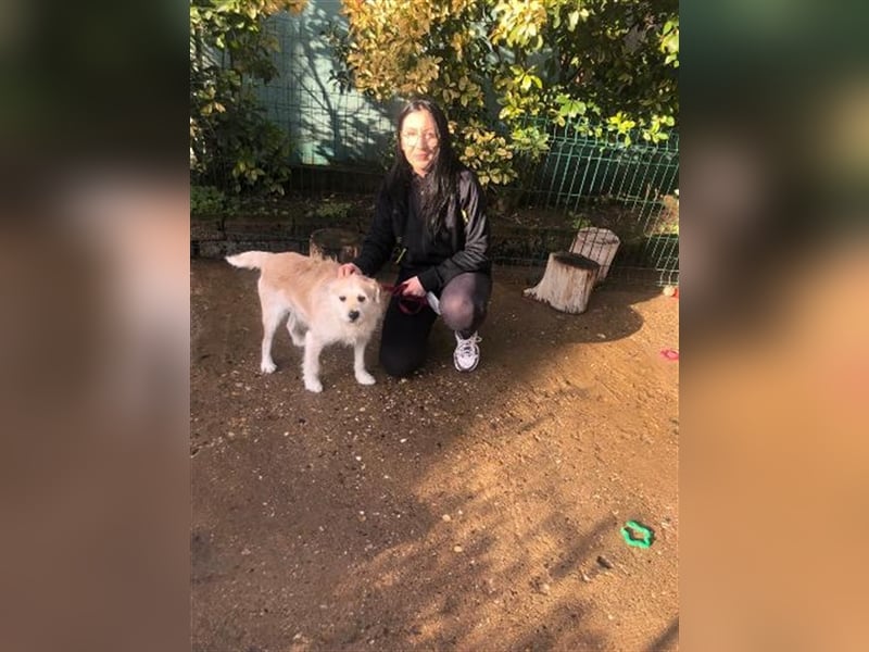 Miroslav unser Sonnenschein liebt die Menschen