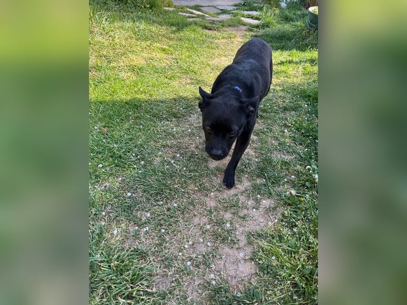 PENi sucht ihre ❤️-menschen