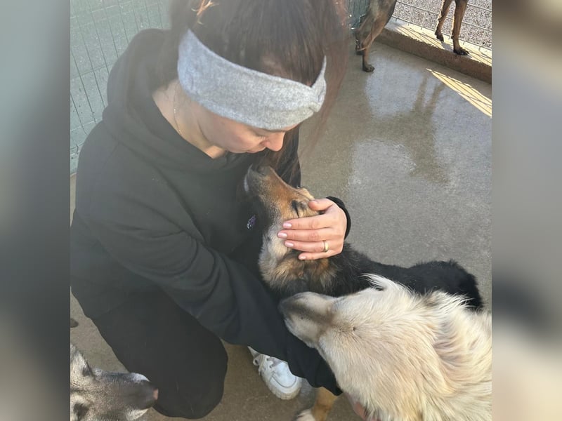 Lebensfrohe SOL sucht Für-Immer-Körbchen ❤️