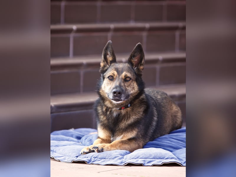 Wundervolle Eva sucht ihre Familie