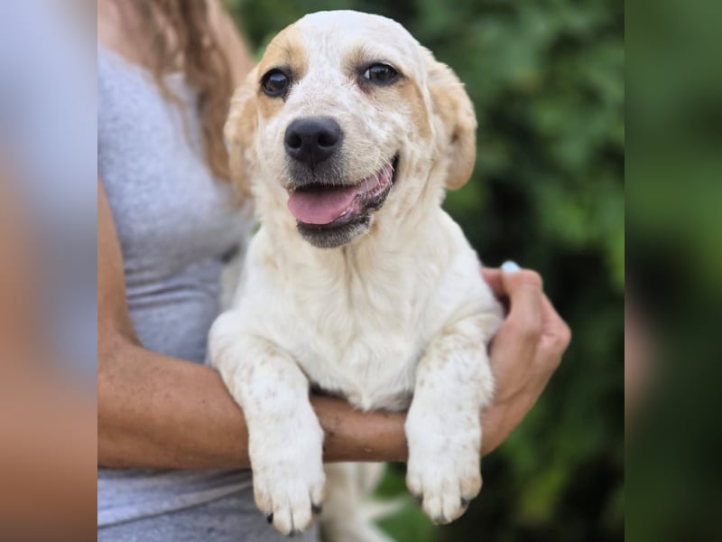 Emmi 01/2025 (ESP) - verschmustes und neugieriges, bezauberndes kleines Mädchen!