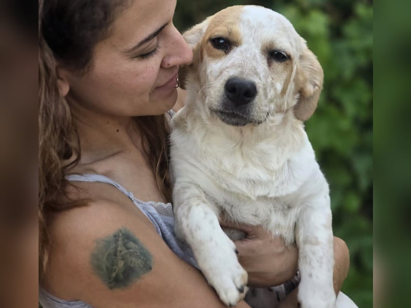 Emmi 01/2025 (ESP) - verschmustes und neugieriges, bezauberndes kleines Mädchen!