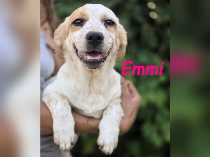 Emmi 01/2025 (ESP) - verschmustes und neugieriges, bezauberndes kleines Mädchen!