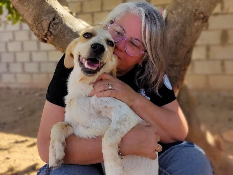 Emmi 01/2025 (ESP) - verschmustes und neugieriges, bezauberndes kleines Mädchen!