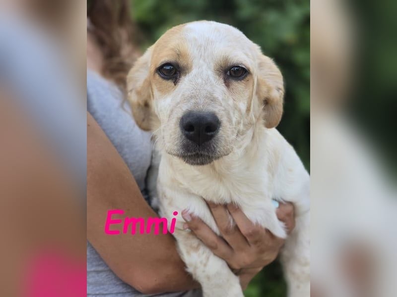 Emmi 01/2025 (ESP) - verschmustes und neugieriges, bezauberndes kleines Mädchen!