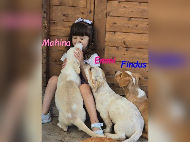 Emmi 01/2025 (ESP) - verschmustes und neugieriges, bezauberndes kleines Mädchen!